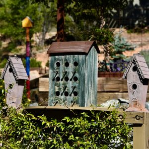 ApapBirdHousesDSC_2687