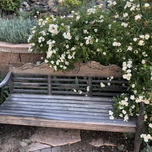 BrbSeatRoseIMG_2115
