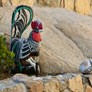 RobnRoosterDSC_2739